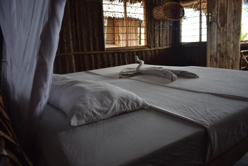 Ushongo Beach Bandas Pangani 外观 照片