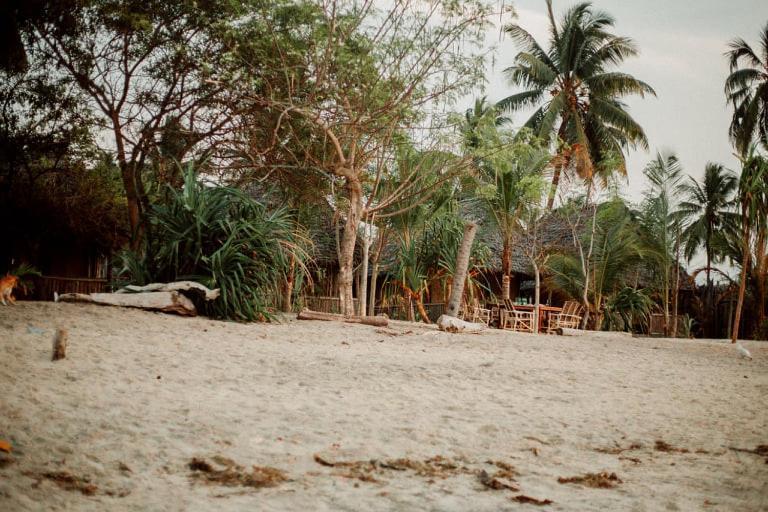 Ushongo Beach Bandas Pangani 外观 照片